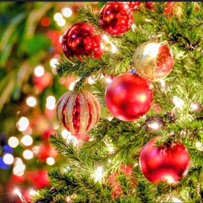 SeY40771's profile picture. 