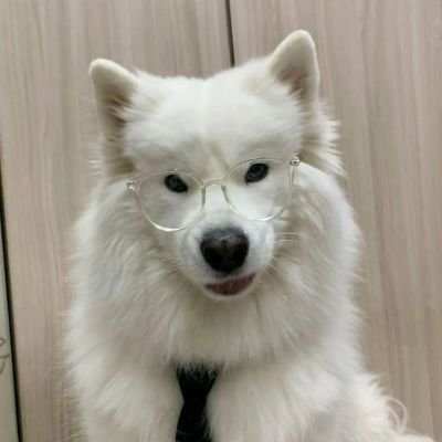 3_gloves's profile picture. 