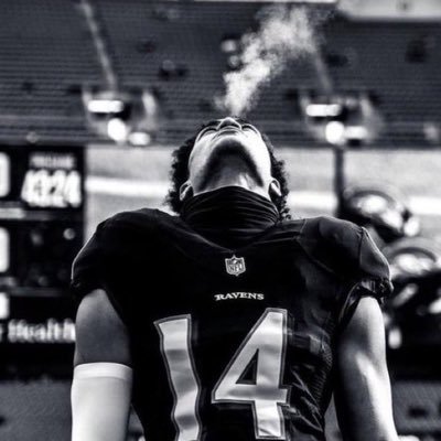 RavensTalk44's profile picture. Reply merchant