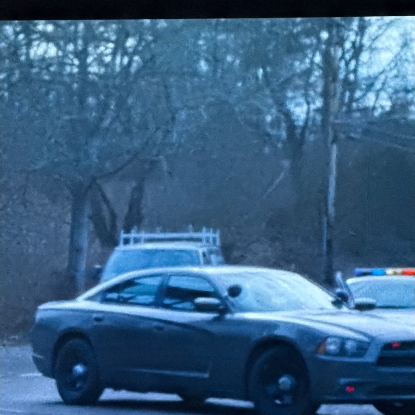 SkipfornowTJ's profile picture. 