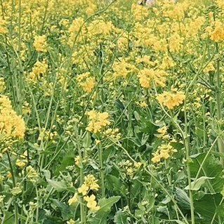 vva2000ttt's profile picture. よろしく