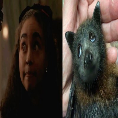 sippedaway's profile picture. i'd rather eat pussy than people!