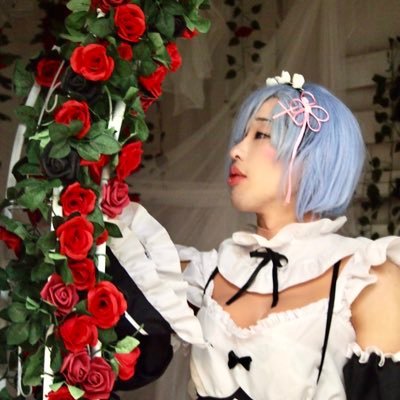 AliceShin_F2A's profile picture. 航空レイヤー (他の趣味垢)→@Aliceshin798