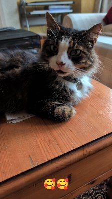 OK9929871's profile picture. 