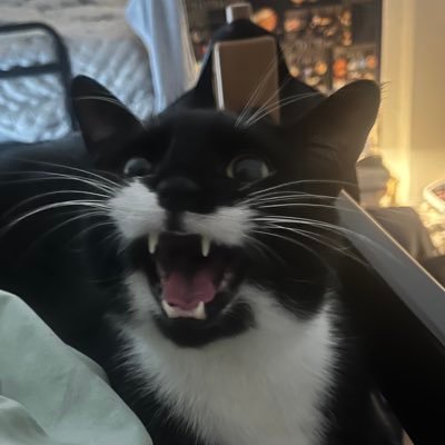 PissAllSunday's profile picture. 