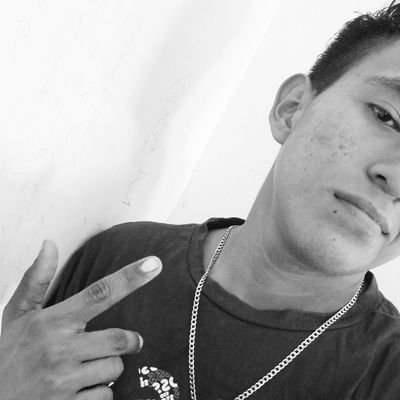 Andresmele56723's profile picture. me gusta andar en el campo tambien andar en el bosque y explorar la fauna