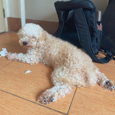 yaryarefilvida's profile picture. Forging strength. Always rising. 💎