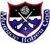 Murroe Boher GAA Profile