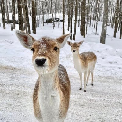 nooneknows8451's profile picture. edtwt || eighteen!! DNI IF IN RECOVERY