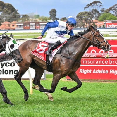 bonza44's profile picture. 