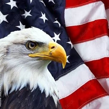 cynthiamoreaf's profile picture. God Fearing Woman! America First! 🇺🇸  Say no to Israeli influence in American Politics!