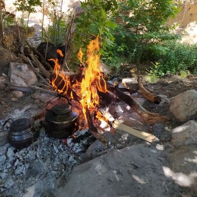 AAlex74728's profile picture. 