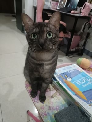 jhe808080's profile picture. 