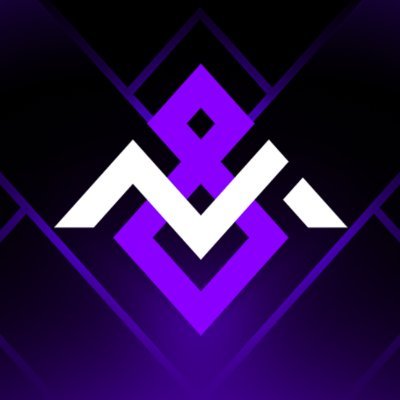 N8Msports's profile picture. 🇪🇺 professional esports org | compete in @R6esports | est. 2023 BASED IN 🇮🇹