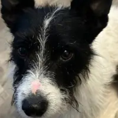 grandmarosskne1's profile picture. 