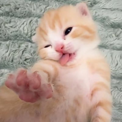 Undead_Leader's profile picture. he/him || avid media consumer