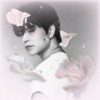 seungcalcinha's profile picture. ˚ㅤ𝅄 I'vᥱ got mყ ᥱყᥱ oᥒ ყoᥙ 𝅄 𐚁̸ ࣪ㅤ𓈒 
   ˖ㅤㅤ۫ㅤㅤ ꕮ ㅤ۫ㅤ 🪜 ˖ㅤㅤ۫ㅤᘞ ˚ ۪
   seungchan é vida
staytinyengenemoap1ece