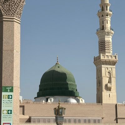 DBookNumber1Fan's profile picture. Ball is Life