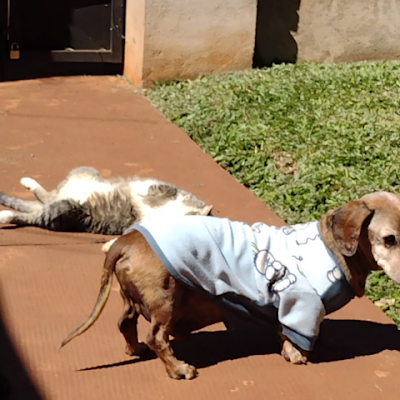 TinoArguello59's profile picture. 