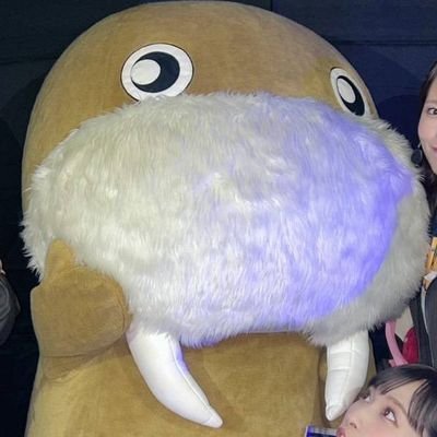 🗻ウッボー🗻 (@woodball72) / Posts / X