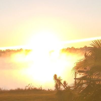 ChrisBlevins92's profile picture. ✝️IN GOD WE TRUST .. PATRIOTS ONLY..25TH ID...#TRUMP COUNTRY🇺🇸