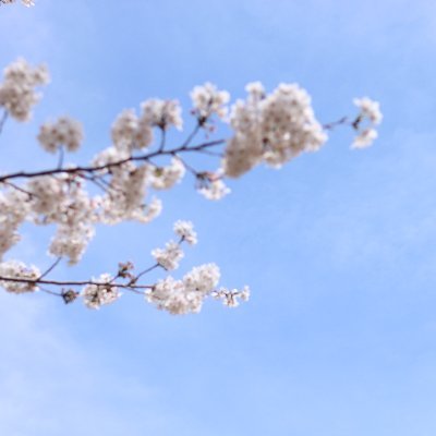 F7mXpdEYPS38619's profile picture. 成人済/三度の飯よりエモシ好き。CoC6版/ボイセテキセ両方対応可能です。ちまちまシナリオ制作中。