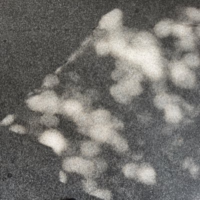 sdcx3585537's profile picture. 