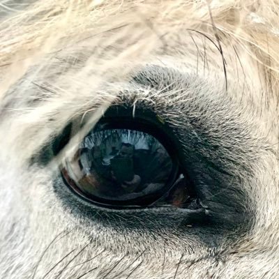 MonarchyUK's profile picture. Journalist and Nottingham lad