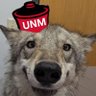 AZLobo480's profile picture. Lobo Fan. Ball Knower. @burritoexp enjoyer. Also like to crash out about the #Birdgang #SunsUp #ForTheA and sometimes ASU. #GoLobos🐺