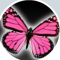 EM203EBergeron_'s profile picture. 