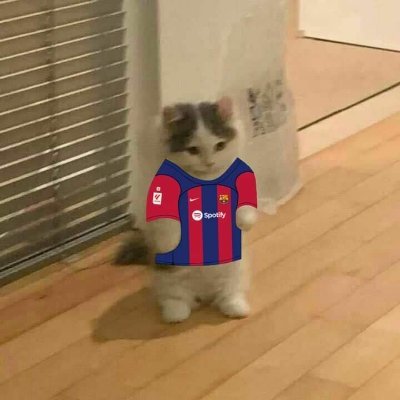 zanethxyz's profile picture. Don't Think, Just Do It.