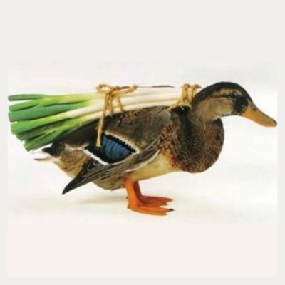 Arikarin34's profile picture. 😔👍