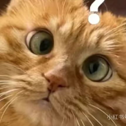 Mumi1106's profile picture. 🐒ชอบหยางจื่อ รักหยางจื่อ มัมเหมียวหนูจื่อ🐵Fan Account💜