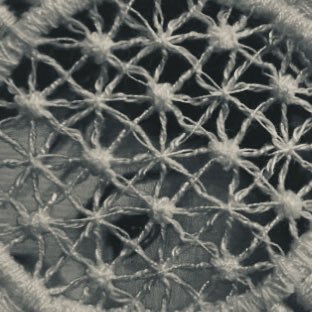 marredchastity's profile picture. transsexual/2S | atsugewi pit river