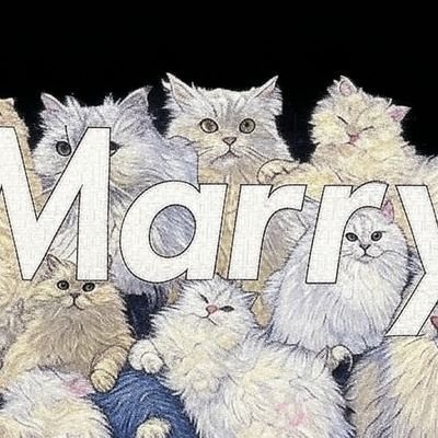 0takku0's profile picture. 服好きの猫好き🐈‍⬛ ｜スト寄りの系統ごちゃごちゃ