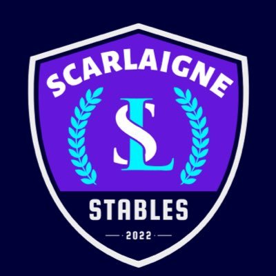 SLstables_'s profile picture. racing digital horses on @photofinishgame