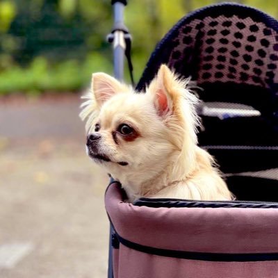 pmTakaichian's profile picture. 幸せな人とは、特定の状況にある人ではなく、特定の態度を持つ人です。ただの暇人です。 もし私があなたを「いいね！」してフォローしたら、 フォローバックしてください。リツイートやいいねを楽しんでいますが、仕事のせいであまり投稿できません。🌹💐🌸🌷🌻🌹🐶🐕🐹🐈🐩🐈‍⬛🐕‍🦺