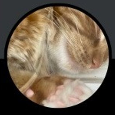 984majiko's profile picture. VQCNCTQP