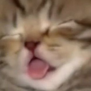 Vainglorious_7's profile picture. pivot queen.