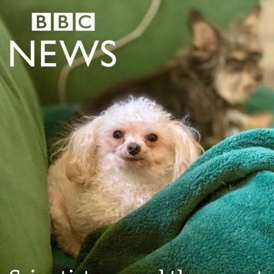 kat_807's profile picture. Journalist in Missouri🌷views are my own, this is not a professional account 🏳️‍🌈✝️ Catholic