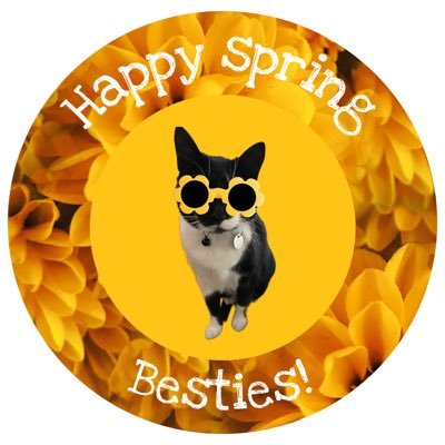 MissyElsie's profile picture. Mes Mitzi cate dis mine tweetor. Offeshallee #Hedgewatcher now! Somtim mine mumb tweetor hers poste inna brakots.