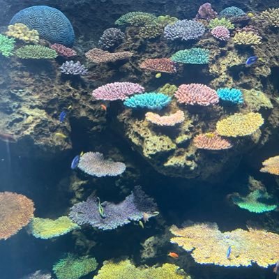 o8m6a9's profile picture. 