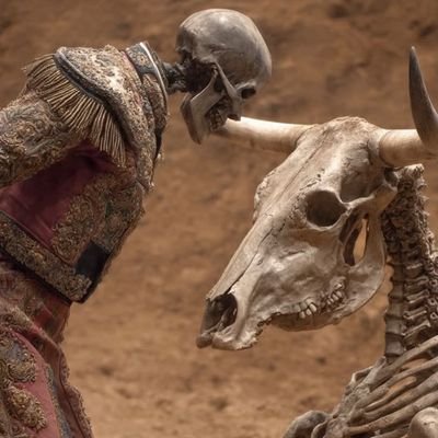 jrterranov's profile picture. Aficionado a la fiesta de los toros. 
LIBERTAD!!!