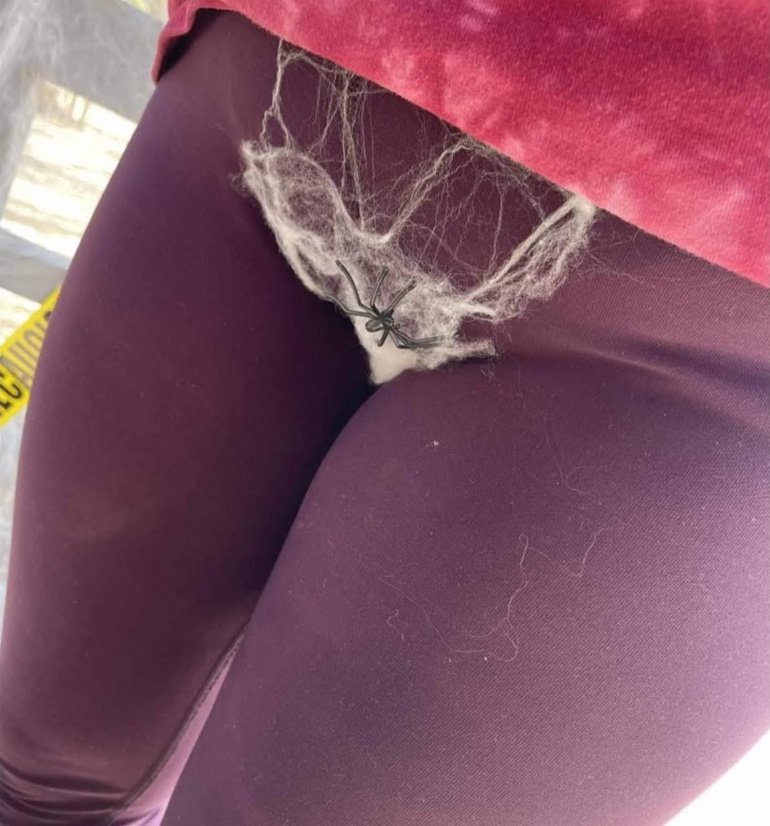 Jaydenxef's profile picture. 