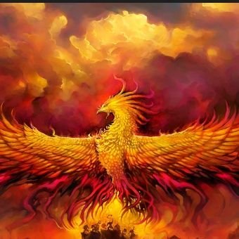 Alejandr__LRAle's profile picture. caras y caretas ....