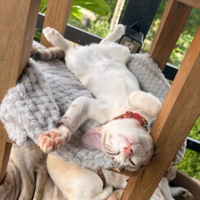 KoBo760's profile picture. 