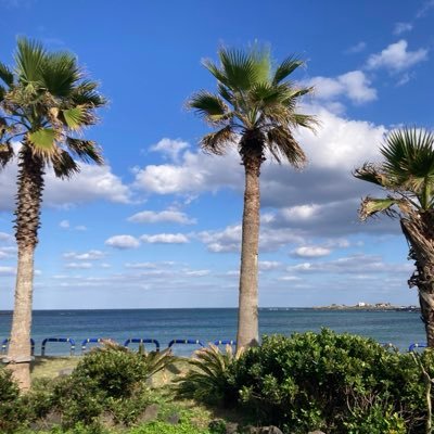 savia_lee's profile picture. 