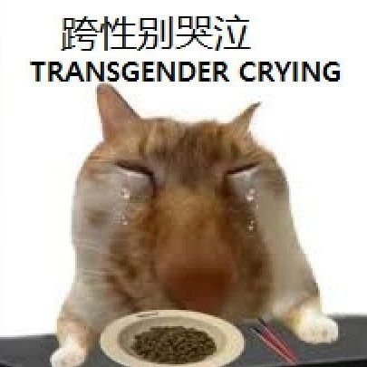 commie_melee's profile picture. Death to Nazis everywhere.

🇵🇸 River to Sea