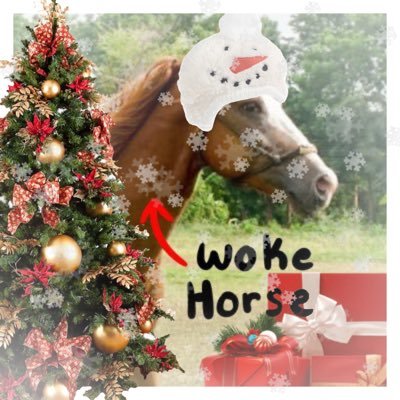 CaptWalnuti's profile picture. 🇲🇽 the 𝓯𝓮𝓼𝓽𝓲𝓿𝓮 hons💕🎄 #1 sci tv fan aaand *NON-SHARER* ! DOUBLES DNF - ❄️Tag : #ScientificallyProven Multifandom artist - 🎅read extended bio 🎉