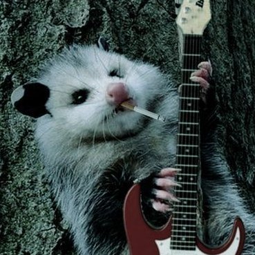 RzRaizon's profile picture. Pardo